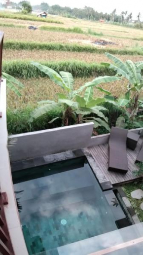 Private Modern Villa 2 Kamar tidur di Ubud